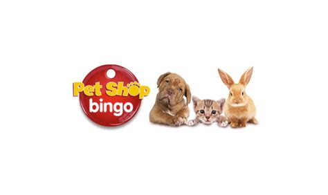 Pet shop bingo casino online